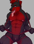 abs anthro breath bulge clothing looking_at_viewer male muscular navel nipples panting pecs solo spandex teeth tight_clothing wrestling wrestling_singlet knuxlight derry canid canine canis dobermann domestic_dog mammal pinscher hi_res