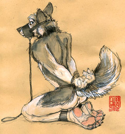 5_toes anthro anus bdsm bondage bound collar cuff_(restraint) feet hands_behind_back humanoid_feet kneeling leash looking_back male muzzle_(object) muzzled nude plantigrade restraints shackles soles solo submissive submissive_male tail toes java mudshark canid canine mammal