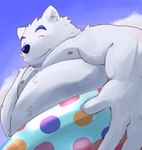 anthro belly blush clothing eyes_closed fur humanoid_hands kemono male moobs nipples overweight overweight_male solo swimwear white_body white_fur fuboku bear mammal polar_bear ursine 2015