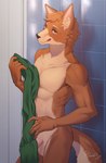 anthro balls brown_body brown_fur cheek_tuft claws countershade_torso countershading erection erection_under_towel facial_tuft finger_claws fur genitals green_towel head_tuft inner_ear_fluff inside looking_at_viewer male nude penis solo tile tile_wall tongue tongue_out towel tuft wall_(structure) yellow_eyes husdingo canid canine canis domestic_dog mammal hi_res shaded signature