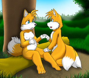 3_toes anthro anthrofied barefoot belly big_belly blue_eyes breasts claws clothing cloud crossgender duo feet female gloves grass handwear log male mtf_crossgender outside plant pregnant sky tail toes tree wood kitsune_youkai sega sonic_the_hedgehog_(series) miles_prower canid canine fox mammal shaded