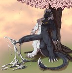 4_toes 5_fingers abs anthro balls biceps big_balls big_penis biped black_balls black_body black_cum black_fur black_penis black_sclera black_tail bodily_fluids cherry_blossom cherry_tree claws colored_cum cum cum_drip cum_on_ground cum_strand cum_string day detailed_background digitigrade dripping ejaculation erection excessive_cum excessive_genital_fluids feet finger_claws fingers flower front_view fruit_tree fur genital_fluids genitals glistening glistening_balls glistening_genitalia glistening_penis glowing glowing_eyes grass hair hands-free horn huge_balls huge_penis humanoid_genitalia humanoid_hands humanoid_penis hyper hyper_genitalia jewelry long_penis long_tail male mane mane_hair monotone_hair multicolored_body multicolored_cum multicolored_fur muscular muscular_anthro muscular_male necklace nude orgasm outdoor_nudity outside pecs penis plant prunus_(flower) quads snout solo spontaneous_ejaculation standing tail tail_mane tail_tuft three-quarter_view toe_claws toes tree tuft two_tone_body two_tone_cum two_tone_fur two_tone_tail unusual_bodily_fluids unusual_cum unusual_genital_fluids vein veiny_penis white_balls white_body white_claws white_fur white_hair white_tail yellow_eyes kenjiii european_mythology mythology dragon furred_dragon furred_scalie mythological_creature mythological_scalie scalie western_dragon wingless_dragon absurd_res digital_media_(artwork) full-length_portrait hi_res portrait