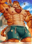 abs anthro beach body_hair bottomwear bulge chest_hair clothing fur male muscular muscular_anthro muscular_male nipples one_eye_closed orange_body orange_fur pecs seaside shorts solo striped_body striped_fur stripes wink miazuma_shouki anothereidos_of_dragon_vein_r corca_(anothereidos_r) felid mammal pantherine tiger absurd_res hi_res