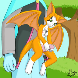 anthro bodily_fluids breasts clothed clothing duo erection female genital_fluids genitals male male/female nipples nude penis sitting_on_penis size_difference smaller_female tail wings ruinslynx dust:_an_elysian_tail dust_(elysian_tail) fidget_(elysian_tail) bat mammal nimbat 1:1 absurd_res digital_media_(artwork) hi_res