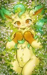 :3 ambiguous_gender anthro blush blush_lines brown_eyes chest_tuft flower fluffy fur grass hand_on_chest looking_at_viewer lying navel on_back on_grass plant solo tuft yellow_body yellow_fur maimoonrabbit nintendo pokemon eeveelution generation_4_pokemon leafeon pokemon_(species) 2024 hi_res