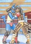 anthro black_hair blue_body blue_fur blush boxing boxing_gloves brown_body brown_eyes brown_fur brown_scales butt clothed clothing duo fighting_ring footwear fur hair handwear inside male mouthguard ponytail red_eyes scales sport text toeless_footwear topless yellow_body yellow_fur dcheese nintendo pokemon armando_(dcheese) generation_4_pokemon lucario mammal pangolin pokemon_(species) 2017 absurd_res english_text hi_res traditional_media_(artwork)