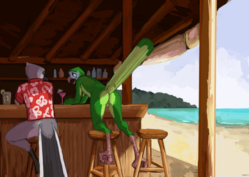 alcohol anthro avian_feet backsack balls bar beach beak beverage bottomless bottomless_anthro bottomless_male butt casual_nudity clothed clothing cocktail cocktail_glass container cup drinking_glass duo feathers feet furniture genitals glass glass_container glass_cup looking_at_another male nude open_beak open_mouth outdoor_nudity outside sand seaside shirt sky smile stool tail tail_feathers talons toes topwear tazal avian bird parrot absurd_res digital_media_(artwork) hi_res