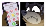 anthro bite biting_lip biting_own_lip bodily_fluids cellphone electronics humor male nervous phone relatable self_bite smartphone solo sweat text the_truth nikraccoom telegram mammal procyonid raccoon 2021 comic english_text signature