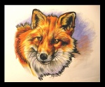 brown_eyes canine eattoast feral fluffy fox frame mammal original portrait signature solo
Rating: Safe
Score: 5
User: titaniachkt
Date: March 01, 2012 brown_eyes canine eattoast feral fluffy fox frame mammal original portrait signature solo
Rating: Safe
Score: 5
User: titaniachkt
Date: March 01, 2012