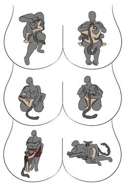 4_arms anal anal_penetration big_breasts breast_play breast_squish breasts clothing duo embracing_during_sex female female_penetrated headpat holding_head hug huge_breasts hugging_another hyper larger_female male male/female male_penetrating male_penetrating_female multi_arm multi_breast multi_breastfeeding multi_limb nipple_fetish nipple_play nude on_lap penetration service_height service_top sex sitting_on_another sitting_on_lap size_difference smaller_male squish striped_body stripes thick_thighs forwardstory slip_(forwardstory) ambiguous_species australian_possum mammal marsupial petaurid sugar_glider absurd_res hi_res multiple_scenes