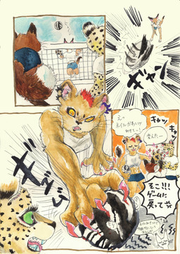 anthro ball big_breasts bottomwear breasts claws clothed clothing dialogue ear_piercing ear_ring female fur green_eyes group hair markings net open_mouth piercing ring_piercing shirt sport spots spotted_body tail text topwear volleyball volleyball_(ball) kyokyota canid canine cheetah felid feline felis fox lion lynx mammal pantherine 2020 absurd_res comic hi_res japanese_text painting_(artwork) traditional_media_(artwork) translated watercolor_(artwork)