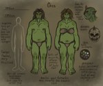 bald black_sclera bone brown_hair clothing duo english_text fantasy female green_body green_skin hair hi_res horn humanoid humanoid_pointy_ears male model_sheet muscular open_mouth orc red_eyes skull slightly_chubby species_sheet taraelblackwing text tusks underwear yellow_eyes