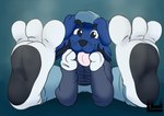 3_toes anthro black_nose blue_body blue_fur blurred_background clothing feet foot_focus fur hat headgear headwear looking_at_viewer male sitting soles solo toes tongue tongue_out white_feet lu123 lu_(lu123) alien canid canine canis domestic_dog hybrid mammal 2020