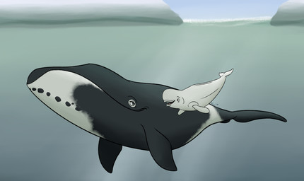 ambiguous_gender black_body black_fin black_spots brown_eyes duo feral male spots tail underwater water white_body white_fin white_head white_tail macrolago disney finding_dory finding_nemo pixar bailey_(finding_dory) aquatic baleen_whale beluga bowhead_whale cetacean mammal monodontid toothed_whale whale whale_tail_(disambiguation) 2022 hi_res
