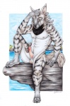 anthro balls biped border cliff detailed_background erection fur genitals grey_body grey_fur male nude outside penis rock sea sitting solo stripes tail water white_border cayleth hyena mammal striped_hyena hi_res