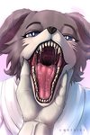 anthro bodily_fluids clothed clothing disembodied_hand duo female fur hand_on_muzzle heart_symbol looking_at_viewer mouth_shot open_mouth saliva saliva_on_tongue saliva_string sharp_teeth sharp_tongue solo_focus teeth tongue watrice beastars juno_(beastars) canid canine canis mammal wolf 2:3 hi_res