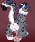 anthro anus ass_up balls blush butt fur genitals knot male pawpads paws pink_butt raised_tail solo tail tail_anus mefifik sewo_(sewo10018) felid mammal pantherine snow_leopard digital_media_(artwork) hi_res