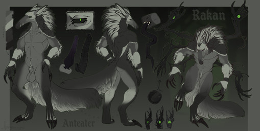 genitals male penis sizediff anteater mammal pilosan xenarthran sheet_(disambiguation) absurd_res hi_res model_sheet