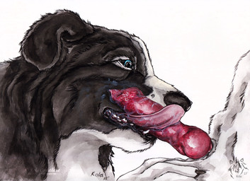 ambiguous_gender animal_genitalia animal_penis anthro anthro_on_anthro black_body black_fur black_nose blue_eyes canine_genitalia canine_penis duo erection fur genitals logo male male/ambiguous penis pink_tongue side_view simple_background tongue tongue_out white_background white_body white_fur kola_(artist) border_collie canid canine canis collie domestic_dog herding_dog mammal pastoral_dog sheepdog 2015 artist_logo dated signature traditional_media_(artwork)
