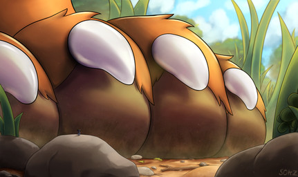 4_toes ambiguous_gender anthro biped black_body black_fur brown_pawpads claws duo feet fur grass larger_anthro larger_male larger_nude male male_anthro micro micro_anthro micro_male nano nude nude_anthro nude_male orange_body orange_fur pawpads pebble plant rock size_difference smaller_anthro smaller_male smaller_nude tall_grass toe_claws toes white_body white_claws white_fur sokz nimbo_(stratus_shepherd) stratus_shepherd australian_shepherd canid canine canis domestic_dog herding_dog hyena mammal pastoral_dog sheepdog hi_res male_(lore)
