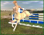 areola breasts female hair hooves mythical nipples nude solo xlef european_mythology greek_mythology mythology centaur equid equid_taur humanoid_taur mammal mammal_taur taur 3d_(artwork) daz_studio_(artwork) digital_media_(artwork) hi_res