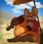 4_toes anthro barefoot beach biped bottomless bottomless_female clothed clothing feet female fur nipple_outline orange_body orange_fur outside plantigrade public public_exposure smile solo tail toes sniffsnorf lucy_(sniffsnorf) canid canine fox mammal