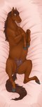 anatomically_correct anatomically_correct_anus anatomically_correct_genitalia anatomically_correct_pussy animal_genitalia animal_pussy anus blue_eyes brown_body brown_fur butt dakimakura dock_(anatomy) equine_anus equine_genitalia equine_pussy female feral fur genitals hooves looking_at_viewer lying nude on_back presenting presenting_anus presenting_pussy puffy_anus pussy quadruped solo spread_legs spreading tail tail_anus teats superlavplov equid equine horse mammal 2022 absurd_res dakimakura_design digital_media_(artwork) hi_res shaded