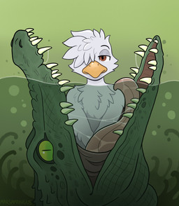 anthro anthro_prey bodily_fluids bored duo feathers feral feral_pred imminent_vore in_mouth male open_mouth oral_vore saliva teeth tongue underwater vore water marsamongus stork_dude avian bird crocodile crocodilian reptile scalie stork hi_res