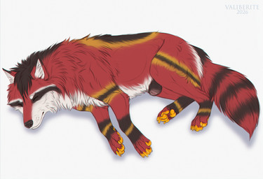 animal_genitalia dream feral fully_sheathed fur genitals hair male multicolored_body paws peaceful red_body red_fur repose rest sheath sleeping solo tail valiberite akiratheraccoon canid canine fox hybrid mammal procyonid raccoon absurd_res hi_res