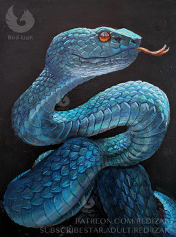 ambiguous_gender black_background blue_body blue_scales detailed_scales feral forked_tongue mouth_closed orange_eyes pupils scales simple_background slit_pupils solo tongue tongue_out yellow_eyes red-izak pit_viper reptile scalie snake viper 2026 acrylic_painting_(artwork) detailed painting_(artwork) traditional_media_(artwork) traditional_painting_(artwork)