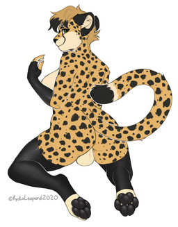 4_toes 5_fingers anthro balls black_pawpads breasts digitigrade eyebrows eyelashes feet fingers fur genitals green_eyes gynomorph intersex markings pawpads paws solo spots spotted_body spotted_fur toes kyotoleopard aria_(remielaria) cheetah felid feline mammal 2020 absurd_res dated digital_media_(artwork) hi_res