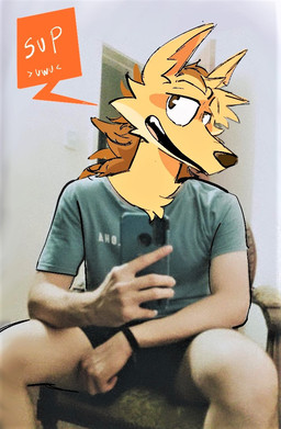 anthro cellphone clothed clothed_male clothing electronics fully_clothed fully_clothed_male fur holding_cellphone holding_object holding_phone holding_smartphone human_arms male phone photo real selfie shirt smartphone solo topwear yellow_body yellow_fur dudenahuel nahuel_(dudenahuel) canid canine human mammal maned_wolf 2023