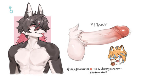 anthro balls big_penis black_body black_fur black_hair blep blue_highlights blush circumcised clothed clothing crotch_tuft cum_dripping_from_penis duo ear_piercing expression_avatar eye_through_hair eyebrow_through_hair eyebrows fur gender_symbol genitals glans glistening glistening_balls glistening_genitalia glistening_glans glistening_penis hair heart_symbol highlights_(coloring) humanoid_genitalia humanoid_penis inner_ear_fluff interaction_drive looking_at_viewer male male_symbol multicolored_body muscular nipple_piercing nipples one_eye_obstructed orange_body orange_fur orange_hair penis piercing red_eyes red_highlights simple_background smile solo symbol text tongue tongue_out topless topless_anthro topless_male translucent translucent_hair tuft two_tone_body vein veiny_penis white_background white_body white_fur white_penis xiaoqi canid canine mammal 2026 english_text hi_res