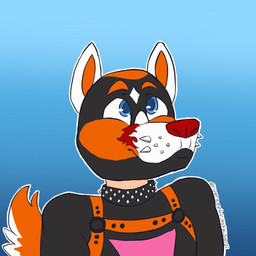 animal_mask anthro bdsm clothing grey_clothing grey_shirt grey_topwear male markings mask orange_markings petplay pup_mask puppyplay red_nose roleplay shirt solo topwear white_markings river_zephir canid canine mammal 1:1