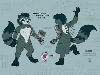 anthro computer cybernetic_arm cybernetic_limb cybernetics cyborg_eye electronics machine male multiple_poses open_mouth pose scar solo naoto canid canine canis cyborg hybrid mammal procyonid raccoon wolf 4:3 absurd_res hi_res model_sheet