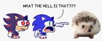 ambiguous_gender anthro big_eyes clothing confusion dialogue feral footwear frown fur gesture gloves group hand_gesture handwear humor male open_frown open_mouth pointing real scared shoes simple_background standing stare text the_truth tongue trio tuft white_background wide_eyed galaxy_cowboy sega sonic_the_hedgehog_(series) shadow_the_hedgehog sonic_the_hedgehog eulipotyphlan hedgehog mammal 2023 english_text hi_res