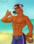 abs anthro athletic athletic_anthro athletic_male beach black_nose blue_bottomwear blue_clothing blue_shorts bottomwear brown_body brown_fur clothed clothing day detective fur grey_clothing grey_hat grey_headwear hat headgear headwear male navel pecs sand sea seaside seductive shorts smile solo standing swimming_trunks swimwear tail topless topless_anthro topless_male water sandblastcoyote dog_city fox_kids nelvana ace_hart canid canine canis domestic_dog mammal 2024