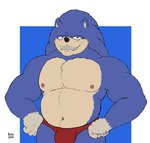 biceps bulge clothed clothing green_eyes grin looking_at_viewer male muscular navel nipples overweight overweight_male smile solo topless underwear risuhiena sega sonic_the_hedgehog_(series) sonic_the_hedgehog ugly_sonic eulipotyphlan hedgehog mammal hi_res