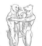 anthro balls bear bear_boy_(furronika) canid canine canis domestic_dog duo erection eye_contact furronika genitals greyscale hi_res humanoid_genitalia humanoid_penis looking_at_another male male/male mammal monochrome muscular muscular_male penis simple_background standing teeth thick_penis white_background