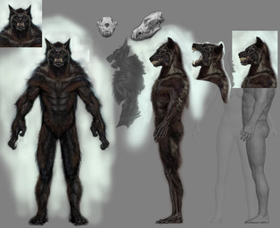abs anthro bone brown_body brown_fur featureless_crotch front_view fur grey_background looking_at_viewer male nude open_mouth sharp_teeth side_view simple_background skull solo standing teeth adam_adamowicz bethesda_game_studios microsoft mythology skyrim the_elder_scrolls skyrim_werewolf canid canine mammal mythological_canine mythological_creature werecanid werecanine werecreature werewolf 3d_(artwork) digital_media_(artwork) mixed_media official_art