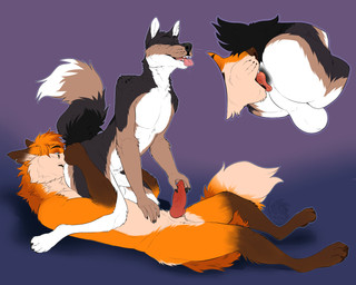 anal animal_genitalia animal_penis anthro anus athletic athletic_anthro athletic_male balls canine_genitalia canine_penis countershade_balls countershade_crotch countershade_face countershade_genitalia countershade_torso countershading cutaway dipstick_tail duo eyes_closed facesitting fur genitals gloves_(marking) hand_on_partner's_penis humanoid_genitalia humanoid_penis knot knotted_penis leg_markings lying male male/male male_anthro male_rimming_male markings nude nude_anthro nude_male on_back open_mouth open_smile oral penis rimming sex sheath simple_background sitting_on_another smile socks_(marking) tail tail_markings teeth tongue tongue_out white_body white_fur chubchow canid canine canis domestic_dog fox mammal 2020 absurd_res hi_res