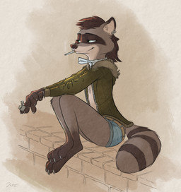ambiguous_gender anthro belt bottomwear bracelet brown_body brown_fur cheek_tuft chest_tuft cigarette claws clothed clothing countershade_torso countershading denim denim_bottomwear denim_clothing denim_shorts dipstick_ears ear_markings ear_piercing ear_ring facial_markings facial_piercing facial_tuft fur green_eyes grey_body grey_fur half-closed_eyes head_markings holding_object hoodie inner_ear_fluff jewelry knee_tuft leg_markings leg_tuft lighter markings mask_(marking) mouth_hold multicolored_ears narrowed_eyes nose_piercing nose_ring outside piercing ring_(marking) ring_piercing ringed_tail shorts simple_background sitting smile smoke smoking socks_(marking) solo striped_markings striped_tail stripes tail tail_markings toe_claws topwear tuft white_body white_countershading white_fur danteslunte mammal procyonid raccoon 2020 hi_res signature