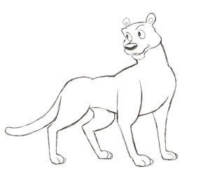 black_nose feral looking_away male open_mouth quadruped simple_background solo teeth_showing tongue_showing white_background thegreatmatsutzu jungle_book_shonen_mowgli nippon_animation the_jungle_book bagheera_(jungle_book) felid feline leopard mammal pantherine black_and_white english_description full-length_portrait monochrome portrait sketch