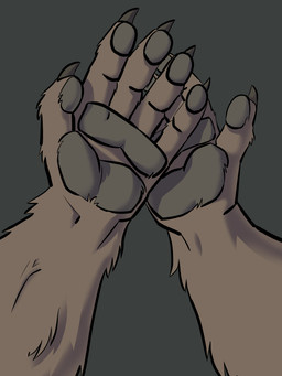 5_fingers ambiguous_gender brown_body brown_fur claws fingers first_person_view fur pawpads simple_background solo phrannd canid canine mammal 2020 absurd_res hi_res