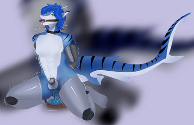 abs anthro blue_dildo blue_hair breath chastity_cage chastity_device collar dildo femboy gag gagged_drooling green_eyes hair male markings panting penetration prosthetic prosthetic_arm prosthetic_leg prosthetic_limb riding_dildo ring_gag sex_toy shaking shark_tail solo striped_markings striped_tail stripes tail tail_markings tongue tongue_out trembling aquatic fish requiem_shark shark tiger_shark hi_res