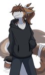 ambiguous_gender anthro biped black_clothing black_sweater black_topwear bottomwear brown_hair clothed clothing fully_clothed fur hair longer_spine_fur looking_at_viewer pants simple_background smile solo standing sweater tail topwear white_background milodesty mythology destiny_(milodesty) dragon furred_dragon furred_scalie mythological_creature mythological_scalie scalie 2021 digital_drawing_(artwork) digital_media_(artwork) hi_res