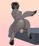 anthro balls brown_hair butt genitals grey_body hair hand_on_leg hand_on_thigh male nude paws presenting presenting_hindquarters solo anixis conditional_dnp osten_(ostyeen) hyena mammal spotted_hyena absurd_res digital_media_(artwork) hi_res shaded