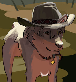 clothing collar cowboy_hat female feral hat headgear headwear nub_tail solo woolfe sawyer_(vvoolfe) beauceron canid canine canis domestic_dog herding_dog mammal pastoral_dog meme