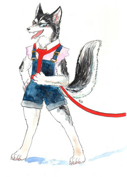 ambiguous_gender anthro blue_eyes blush claws clothed clothing feet fur harness leash open_mouth overalls shirt simple_background solo standing suspenders tail tongue tongue_out topwear white_background white_body white_fur kyokyota canid canine canis domestic_dog husky mammal nordic_sled_dog spitz 2015 painting_(artwork) traditional_media_(artwork) watercolor_(artwork)