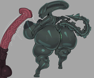 animal_genitalia animal_penis anthro anus areola balls big_breasts big_butt big_penis black_areola black_nipples bodily_fluids breasts butt equine_genitalia equine_penis erection female flared_penis genital_fluids genitals grey_body huge_breasts huge_butt huge_penis hyper hyper_genitalia hyper_penis lips male nipples nude penis precum saliva saliva_string solo sweat sweaty_butt thick_lips thick_thighs wide_hips kopokofiart alien_(franchise) alien xenomorph absurd_res hi_res